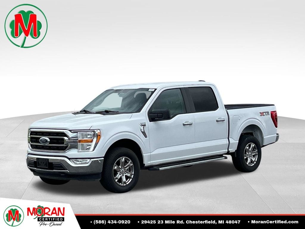 2023 Ford F-150 XLT in Oxford White — front three-quarter view